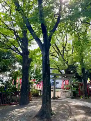 笠䅣稲荷神社(神奈川県)