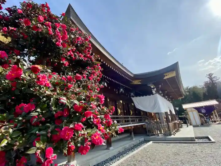 大神神社(奈良県)