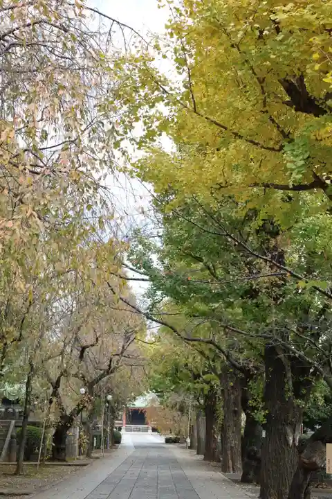 吉祥寺(東京都)
