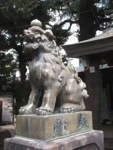 青山熊野神社の狛犬