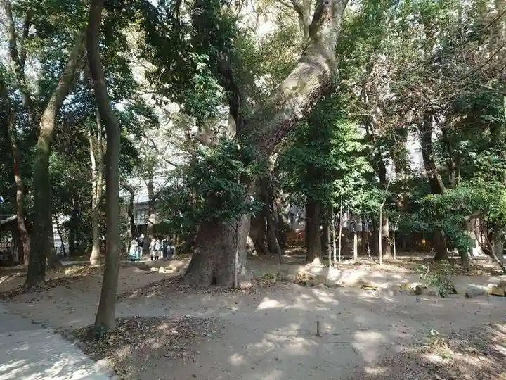 生田神社(兵庫県)