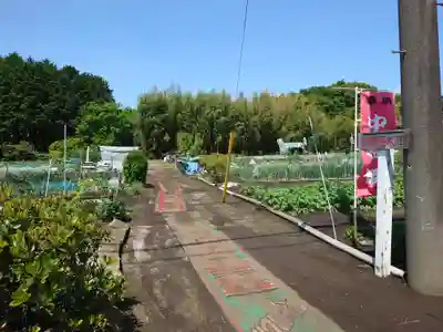 中将姫(神奈川県)