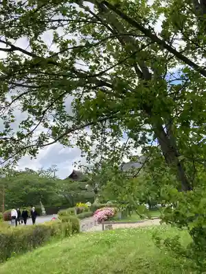 浄土寺(兵庫県)