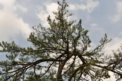 越中一宮 髙瀬神社(富山県)