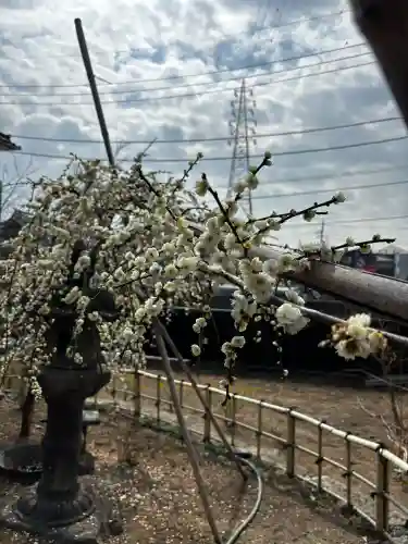 羽田神社の{uncategorized: "未分類", other: "その他", undefined: "問題あり", building: "その他建物", grave: "お墓", sacred_gate: "鳥居", guardian: "狛犬", statue: "像", buddha: "仏像", history: "歴史", nature: "自然", garden: "庭園", animal: "動物", pagoda: "塔", temizu: "手水舎", mountain_gate: "山門・神門", sanctuary: "本殿・本堂", subordinate: "末社・摂社", art: "芸術", scenery: "景色", jizo: "地蔵", ema: "絵馬", goshuin: "御朱印", omikuji: "おみくじ", items: "授与品その他", amulet: "お守り", goshuincho: "御朱印帳", eats: "食事", festival: "お祭り", votive_dance: "神楽", shichigosan: "七五三参", wedding: "結婚式", experience: "体験その他", initially: "初詣", around: "周辺", anti_infection: "感染症対策"}