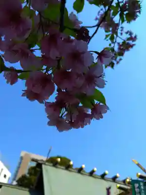 東京大神宮(東京都)