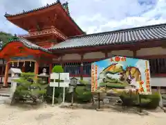 伊佐爾波神社(愛媛県)