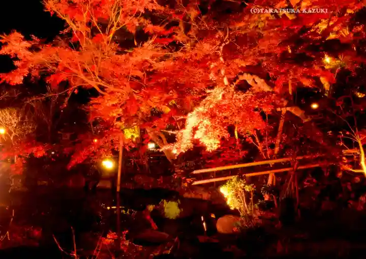 長谷寺(神奈川県)