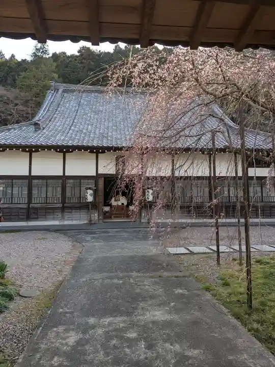 西光寺(埼玉県)