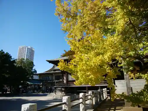 葛飾八幡宮(千葉県)