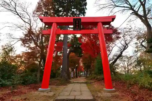 愛宕神社の鳥居