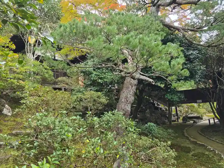 霊鑑寺門跡(京都府)