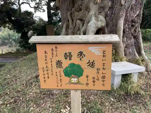 蓮久寺の歴史