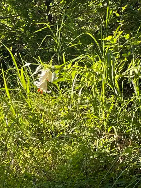 国上寺(新潟県)