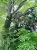 鹿嶋神社(茨城県)