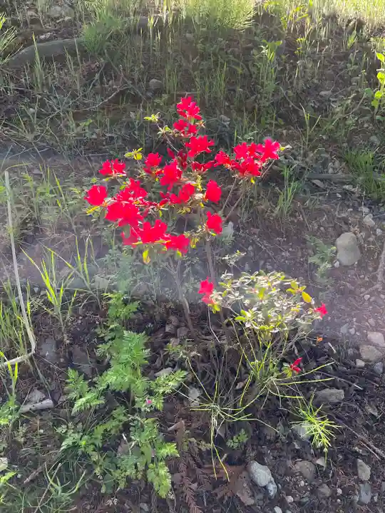 高司神社〜むすびの神の鎮まる社〜(福島県)