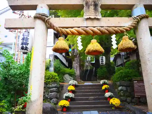 日枝神社の鳥居