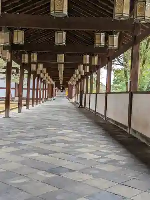 萬福寺(京都府)