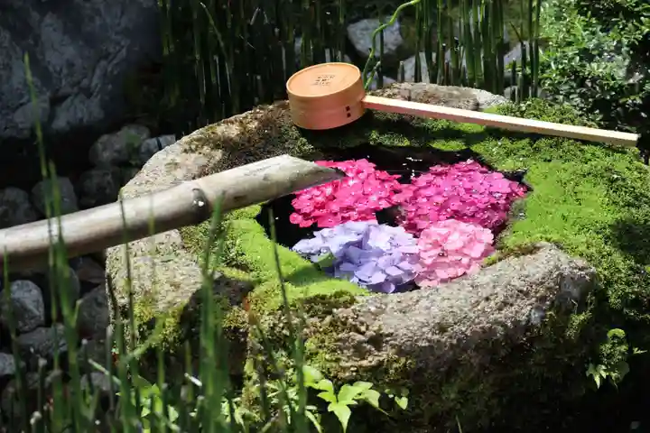柳谷観音 楊谷寺(京都府)