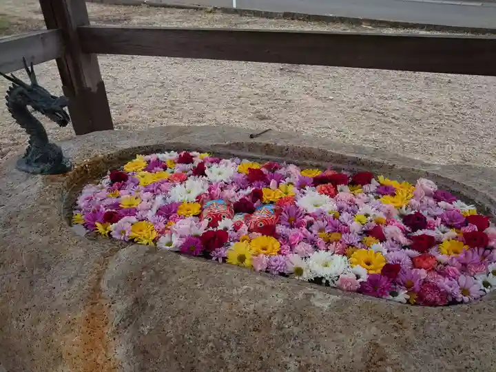 金井神社の手水舎