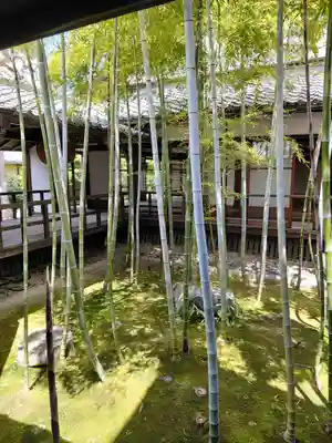 妙顯寺（妙顕寺）(京都府)