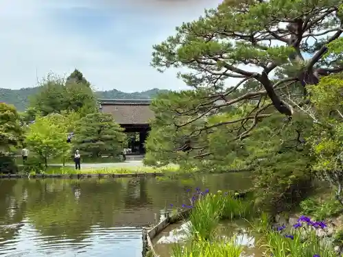 梅宮大社(京都府)