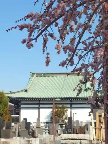 宗仲寺(神奈川県)
