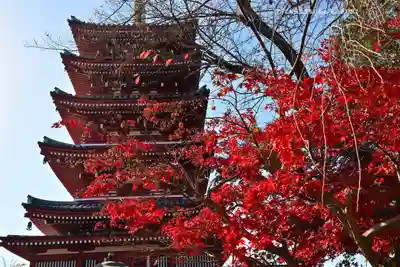 本土寺(千葉県)