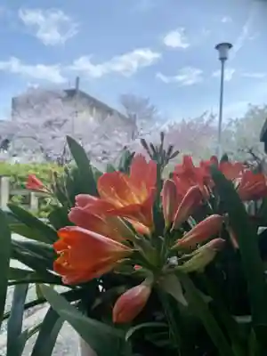 六孫王神社(京都府)