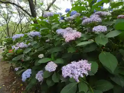 六條八幡宮(高知県)