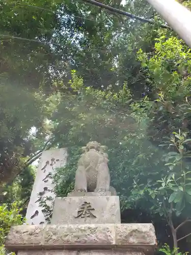 代々木八幡宮の狛犬