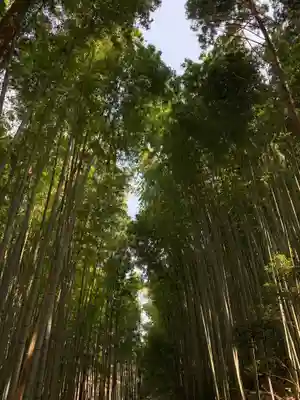 熊野神社の自然
