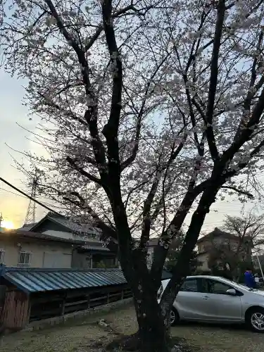 鳥取山田神社の{uncategorized: "未分類", other: "その他", undefined: "問題あり", building: "その他建物", grave: "お墓", sacred_gate: "鳥居", guardian: "狛犬", statue: "像", buddha: "仏像", history: "歴史", nature: "自然", garden: "庭園", animal: "動物", pagoda: "塔", temizu: "手水舎", mountain_gate: "山門・神門", sanctuary: "本殿・本堂", subordinate: "末社・摂社", art: "芸術", scenery: "景色", jizo: "地蔵", ema: "絵馬", goshuin: "御朱印", omikuji: "おみくじ", items: "授与品その他", amulet: "お守り", goshuincho: "御朱印帳", eats: "食事", festival: "お祭り", votive_dance: "神楽", shichigosan: "七五三参", wedding: "結婚式", experience: "体験その他", initially: "初詣", around: "周辺", anti_infection: "感染症対策"}