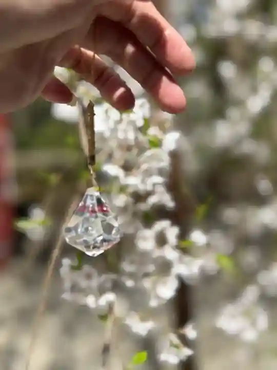 伊佐須美神社の{uncategorized: "未分類", other: "その他", undefined: "問題あり", building: "その他建物", grave: "お墓", sacred_gate: "鳥居", guardian: "狛犬", statue: "像", buddha: "仏像", history: "歴史", nature: "自然", garden: "庭園", animal: "動物", pagoda: "塔", temizu: "手水舎", mountain_gate: "山門・神門", sanctuary: "本殿・本堂", subordinate: "末社・摂社", art: "芸術", scenery: "景色", jizo: "地蔵", ema: "絵馬", goshuin: "御朱印", omikuji: "おみくじ", items: "授与品その他", amulet: "お守り", goshuincho: "御朱印帳", eats: "食事", festival: "お祭り", votive_dance: "神楽", shichigosan: "七五三参", wedding: "結婚式", experience: "体験その他", initially: "初詣", around: "周辺", anti_infection: "感染症対策"}