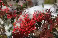 日枝神社の庭園