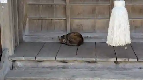 入舟稲荷神社の動物