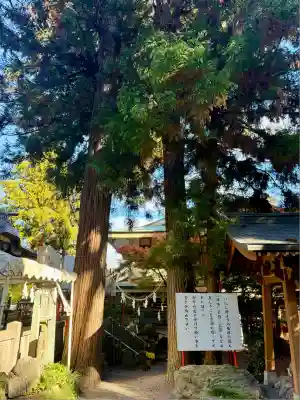渋川八幡宮(群馬県)