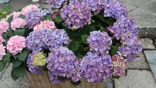 柳谷観音　楊谷寺(京都府)