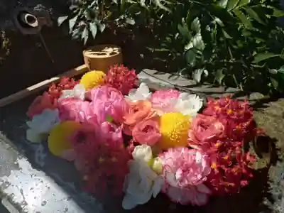 本郷氷川神社(東京都)
