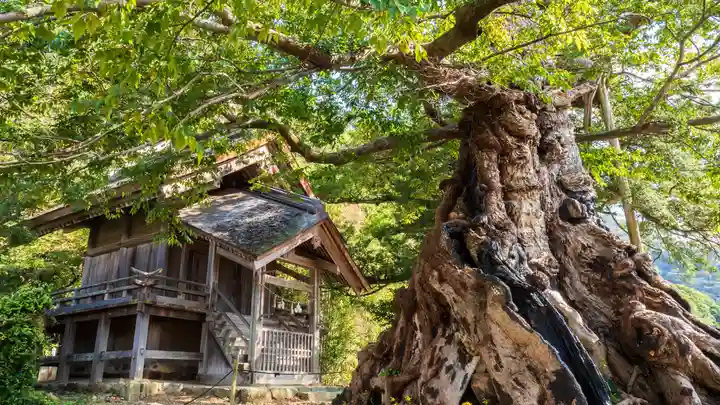 神魂伊能知奴志神社(島根県)