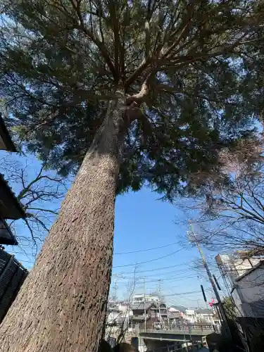 見立寺の{uncategorized: "未分類", other: "その他", undefined: "問題あり", building: "その他建物", grave: "お墓", sacred_gate: "鳥居", guardian: "狛犬", statue: "像", buddha: "仏像", history: "歴史", nature: "自然", garden: "庭園", animal: "動物", pagoda: "塔", temizu: "手水舎", mountain_gate: "山門・神門", sanctuary: "本殿・本堂", subordinate: "末社・摂社", art: "芸術", scenery: "景色", jizo: "地蔵", ema: "絵馬", goshuin: "御朱印", omikuji: "おみくじ", items: "授与品その他", amulet: "お守り", goshuincho: "御朱印帳", eats: "食事", festival: "お祭り", votive_dance: "神楽", shichigosan: "七五三参", wedding: "結婚式", experience: "体験その他", initially: "初詣", around: "周辺", anti_infection: "感染症対策"}