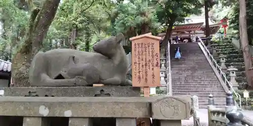 枚岡神社の狛犬