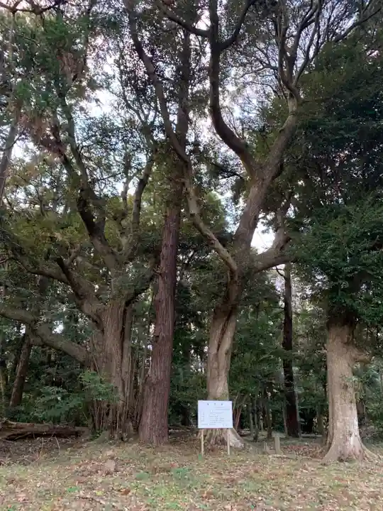八幡神社(千葉県)