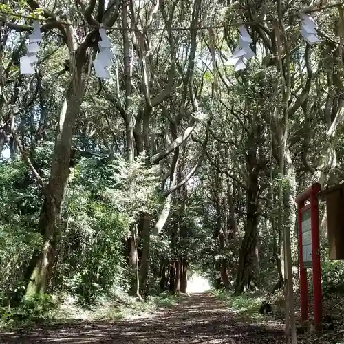 沼尾神社の自然
