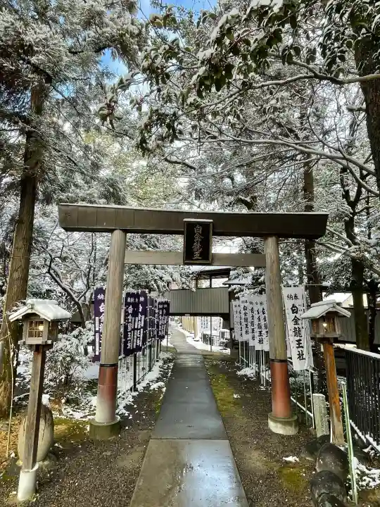 白金龍王社の{uncategorized: "未分類", other: "その他", undefined: "問題あり", building: "その他建物", grave: "お墓", sacred_gate: "鳥居", guardian: "狛犬", statue: "像", buddha: "仏像", history: "歴史", nature: "自然", garden: "庭園", animal: "動物", pagoda: "塔", temizu: "手水舎", mountain_gate: "山門・神門", sanctuary: "本殿・本堂", subordinate: "末社・摂社", art: "芸術", scenery: "景色", jizo: "地蔵", ema: "絵馬", goshuin: "御朱印", omikuji: "おみくじ", items: "授与品その他", amulet: "お守り", goshuincho: "御朱印帳", eats: "食事", festival: "お祭り", votive_dance: "神楽", shichigosan: "七五三参", wedding: "結婚式", experience: "体験その他", initially: "初詣", around: "周辺", anti_infection: "感染症対策"}