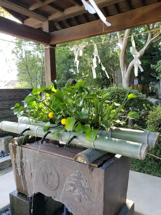 貫井神社の手水舎