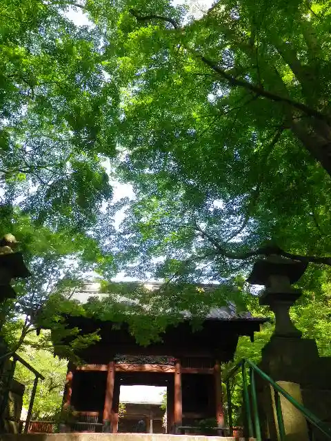妙本寺の山門・神門