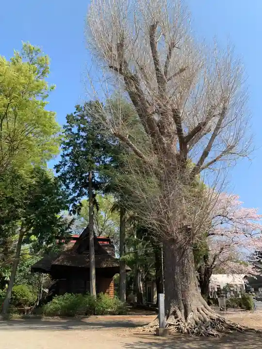 常福寺(茨城県)