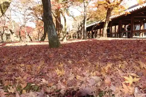 東福禅寺（東福寺）の景色