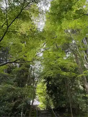 円通院(宮城県)